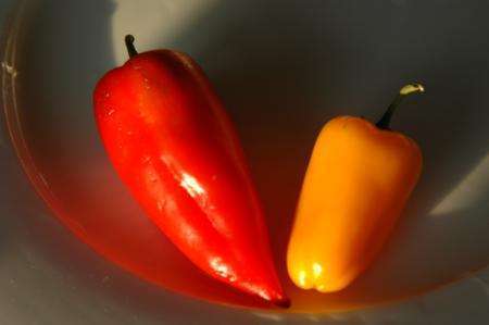 Hot Hot Peppers